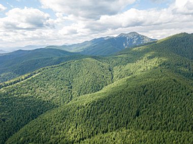 Güneşli havada Ukrayna Karpatlarının yüksek dağları. Hava aracı görünümü.