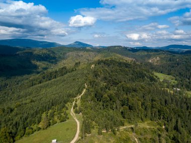 Yazın Ukrayna Karpatları 'nın yeşil dağları. Yamaçlarda kozalaklı ağaçlar. Hava aracı görünümü.
