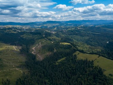 Yazın Ukrayna Karpatları 'nın yeşil dağları. Yamaçlarda kozalaklı ağaçlar. Hava aracı görünümü.