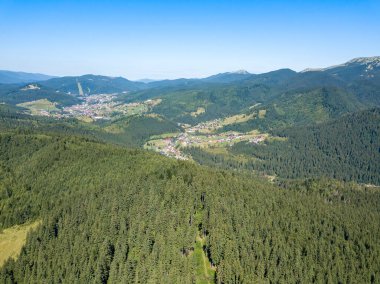Yazın Ukrayna Karpatları 'nın yeşil dağları. Güneşli açık bir gün. Hava aracı görünümü.