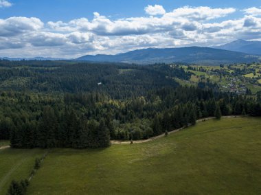 Yazın Ukrayna Karpatları 'nın yeşil dağları. Yamaçlarda kozalaklı ağaçlar. Hava aracı görünümü.