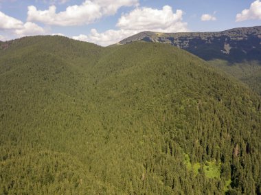 Yazın Ukrayna Karpatları 'nın yeşil dağları. Güneşli bir gün, nadir bulutlar. Hava aracı görünümü.