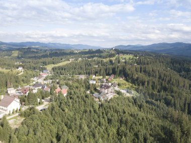 Yazın Ukrayna Karpatları 'nın yeşil dağları. Yamaçlarda kozalaklı ağaçlar. Hava aracı görünümü.