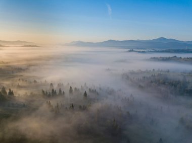 Ukrayna Karpatları 'nda sabah sisi. Hava aracı görünümü.