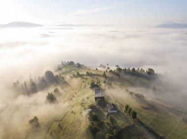 Sis dağ ormanını kaplıyor. Güneşin yükselen ışınları sisi delip geçer. Hava aracı görünümü.