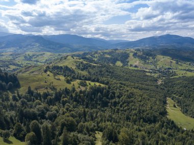 Yazın Ukrayna Karpatları 'nın yeşil dağları. Yamaçlarda kozalaklı ağaçlar. Hava aracı görünümü.