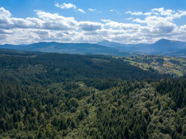 Yazın Ukrayna Karpatları 'nın yeşil dağları. Yamaçlarda kozalaklı ağaçlar. Hava aracı görünümü.