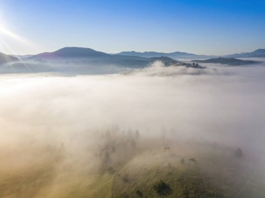 Ukrayna Karpatları 'nda sabah sisi. Hava aracı görünümü.