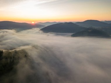 Ukrayna Karpatları 'nda sabah sisi. Hava aracı görünümü.
