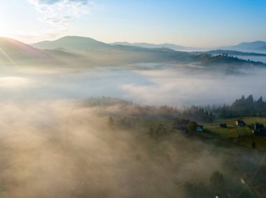 Sabah sisinde Ukrayna Karpatları 'nın yeşil dağları. Hava aracı görünümü.