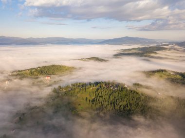 Sabah sisinde Ukrayna Karpatlarının yeşil dağları. Hava aracı görünümü.
