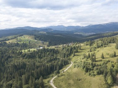 Yazın Ukrayna Karpatları 'nın yeşil dağları. Yamaçlarda kozalaklı ağaçlar. Hava aracı görünümü.