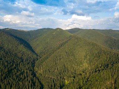 Yazın Ukrayna Karpatları 'nın yeşil dağları. Yamaçlarda kozalaklı ağaçlar. Hava aracı görünümü.
