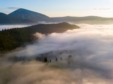 Ukrayna Karpatları 'nda sabah sisi. Hava aracı görünümü.