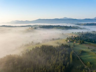 Ukrayna Karpatları 'nda sabah sisi. Hava aracı görünümü.