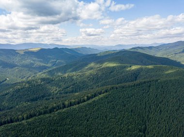 Yazın Ukrayna Karpat Dağları 'nın yeşil yamaçlarında. Bulutlu bir sabah, alçak bulutlar. Hava aracı görünümü.