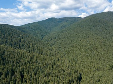 Yazın Ukrayna Karpatları 'nın yeşil dağları. Güneşli bir gün, nadir bulutlar. Hava aracı görünümü.