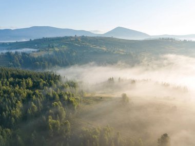 Sabah sisinde Ukrayna Karpatları 'nın yeşil dağları. Hava aracı görünümü.