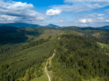 Yazın Ukrayna Karpatları 'nın yeşil dağları. Yamaçlarda kozalaklı ağaçlar. Hava aracı görünümü.