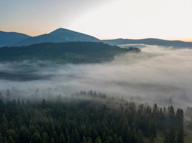 Ukrayna Karpatları 'nda sabah sisi. Hava aracı görünümü.