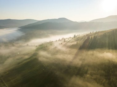 Ukrayna Karpatya dağlarında sabah sisi. Hava aracı görünümü.