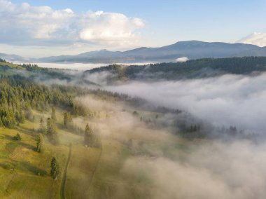 Sabah sisinde Ukrayna Karpatlarının yeşil dağları. Hava aracı görünümü.