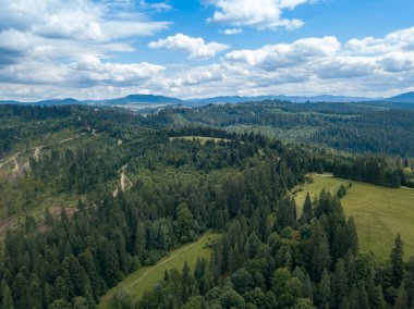 Yazın Ukrayna Karpatları 'nın yeşil dağları. Yamaçlarda kozalaklı ağaçlar. Hava aracı görünümü.