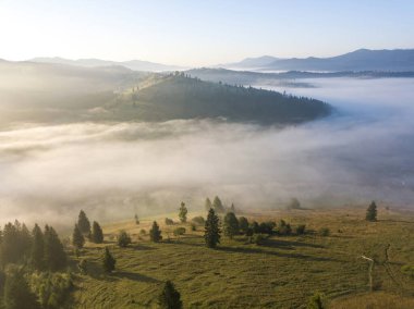 Bir yaz sabahı Ukrayna Karpatları dağları. Hava aracı görünümü.