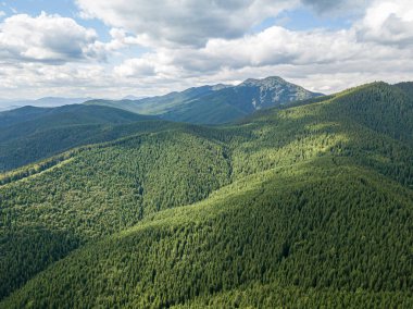 Güneşli havada Ukrayna Karpatlarının yüksek dağları. Hava aracı görünümü.