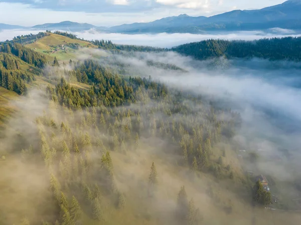 Зеленые Горы Украинских Карпат Утреннем Тумане Воздушный Беспилотник — стоковое фото