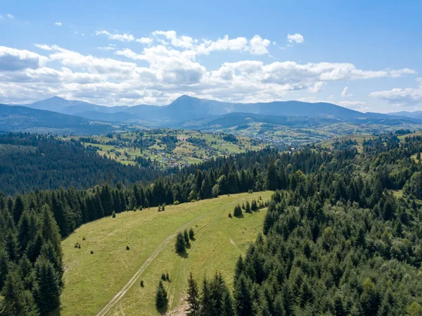 Zelené Hory Ukrajinských Karpat Létě Jehličnaté Stromy Svazích Zobrazení Leteckých — Stock fotografie