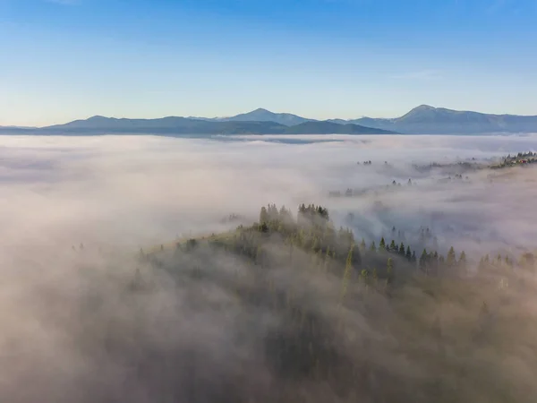 Survol Brouillard Dans Les Carpates Ukrainiennes Été Une Épaisse Couche — Photo