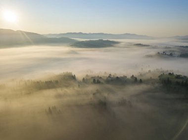 Ukrayna Karpatları 'nda sabah sisi. Hava aracı görünümü.