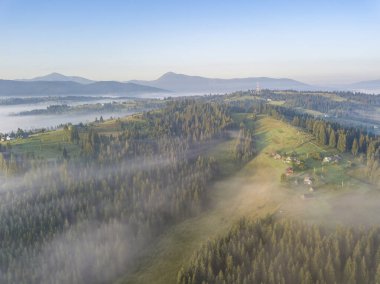 Ukrayna Karpatları 'nda sabah sisi. Hava aracı görünümü.