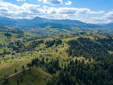 Yazın Ukrayna Karpatları 'nın yeşil dağları. Yamaçlarda kozalaklı ağaçlar. Hava aracı görünümü.