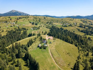 Yazın Ukrayna Karpatları 'nın yeşil dağları. Güneşli açık bir gün. Hava aracı görünümü.
