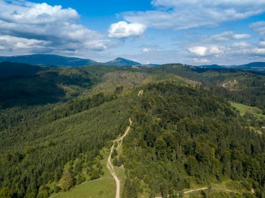 Yazın Ukrayna Karpatları 'nın yeşil dağları. Yamaçlarda kozalaklı ağaçlar. Hava aracı görünümü.