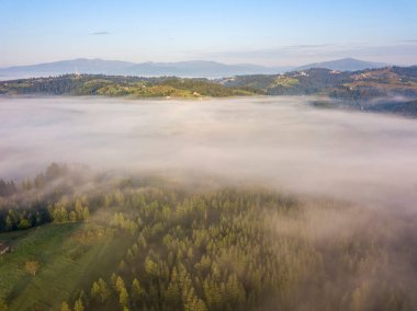 Ukrayna Karpatya dağlarında sabah sisi. Hava aracı görünümü.