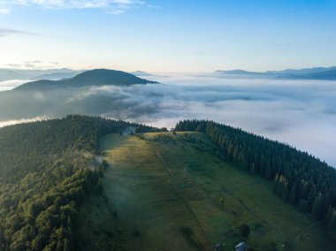 Sabah sisinde Ukrayna Karpatları 'nın yeşil dağları. Hava aracı görünümü.