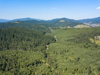 Yazın Ukrayna Karpatları 'nın yeşil dağları. Güneşli açık bir gün. Hava aracı görünümü.