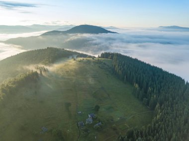 Sisli Karpatlar 'da güneşli bir sabah. Dağları ince bir sis tabakası kaplıyor. Hava aracı görünümü.
