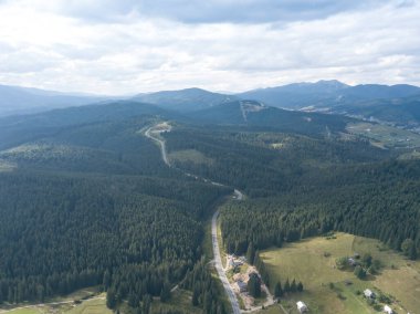Yazın Ukrayna Karpatları 'nın yeşil dağları. Yamaçlarda kozalaklı ağaçlar. Hava aracı görünümü.