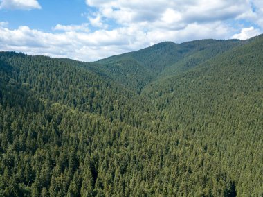 Yazın Ukrayna Karpatları 'nın yeşil dağları. Güneşli bir gün, nadir bulutlar. Hava aracı görünümü.