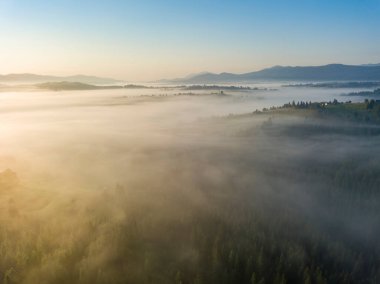 Ukrayna Karpatları 'nda sabah sisi. Hava aracı görünümü.