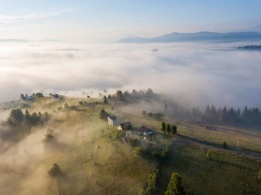 Sis dağ ormanını kaplıyor. Güneşin yükselen ışınları sisi delip geçer. Hava aracı görünümü.