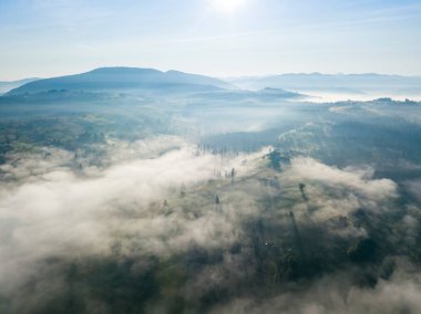 Ukrayna Karpatları 'nda sabah sisi. Hava aracı görünümü.
