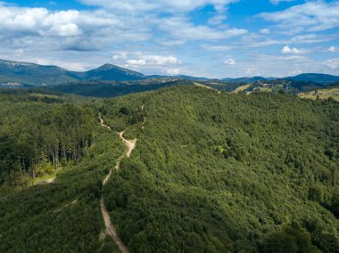 Yazın Ukrayna Karpatları 'nın yeşil dağları. Yamaçlarda kozalaklı ağaçlar. Hava aracı görünümü.