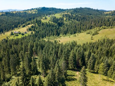 Yazın Ukrayna Karpatları 'nın yeşil dağları. Güneşli açık bir gün. Hava aracı görünümü.