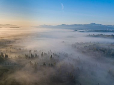 Ukrayna Karpatları 'nda sabah sisi. Hava aracı görünümü.