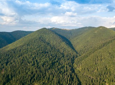 Yazın Ukrayna Karpatları 'nın yeşil dağları. Yamaçlarda kozalaklı ağaçlar. Hava aracı görünümü.